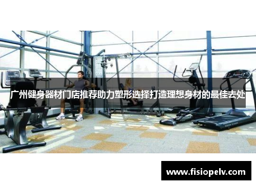 广州健身器材门店推荐助力塑形选择打造理想身材的最佳去处