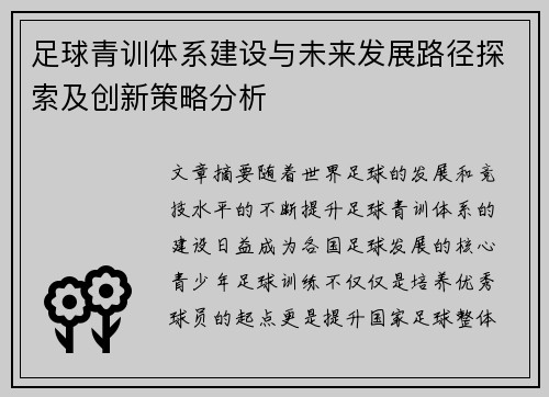 足球青训体系建设与未来发展路径探索及创新策略分析