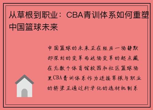 从草根到职业：CBA青训体系如何重塑中国篮球未来